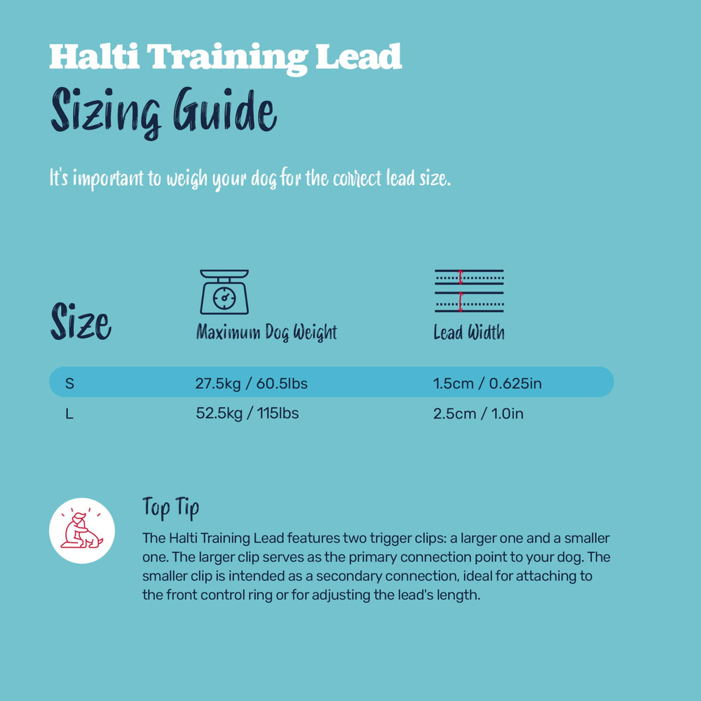 Halti Laisse Entrainement Main Libre Et Attache – pratique pour les sorties avec mains libres.