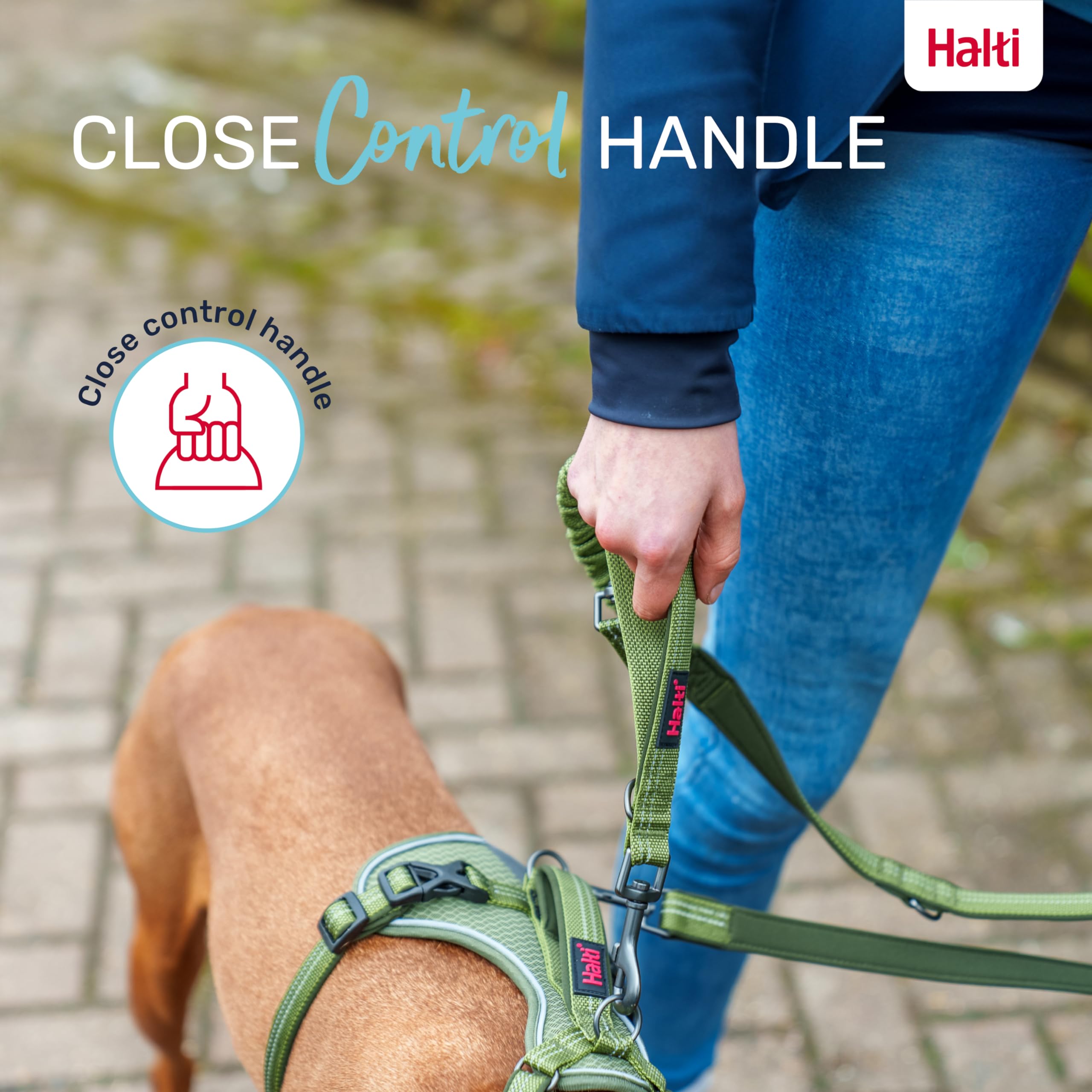 Laisse Halti Anatomy adaptée aux petits chiens jusqu'à 25 kg, légère et pratique.
