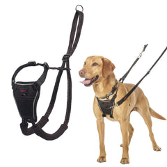 Halti No Pull Harness sur chien en promenade, contrôle avant pour limiter les tirages.