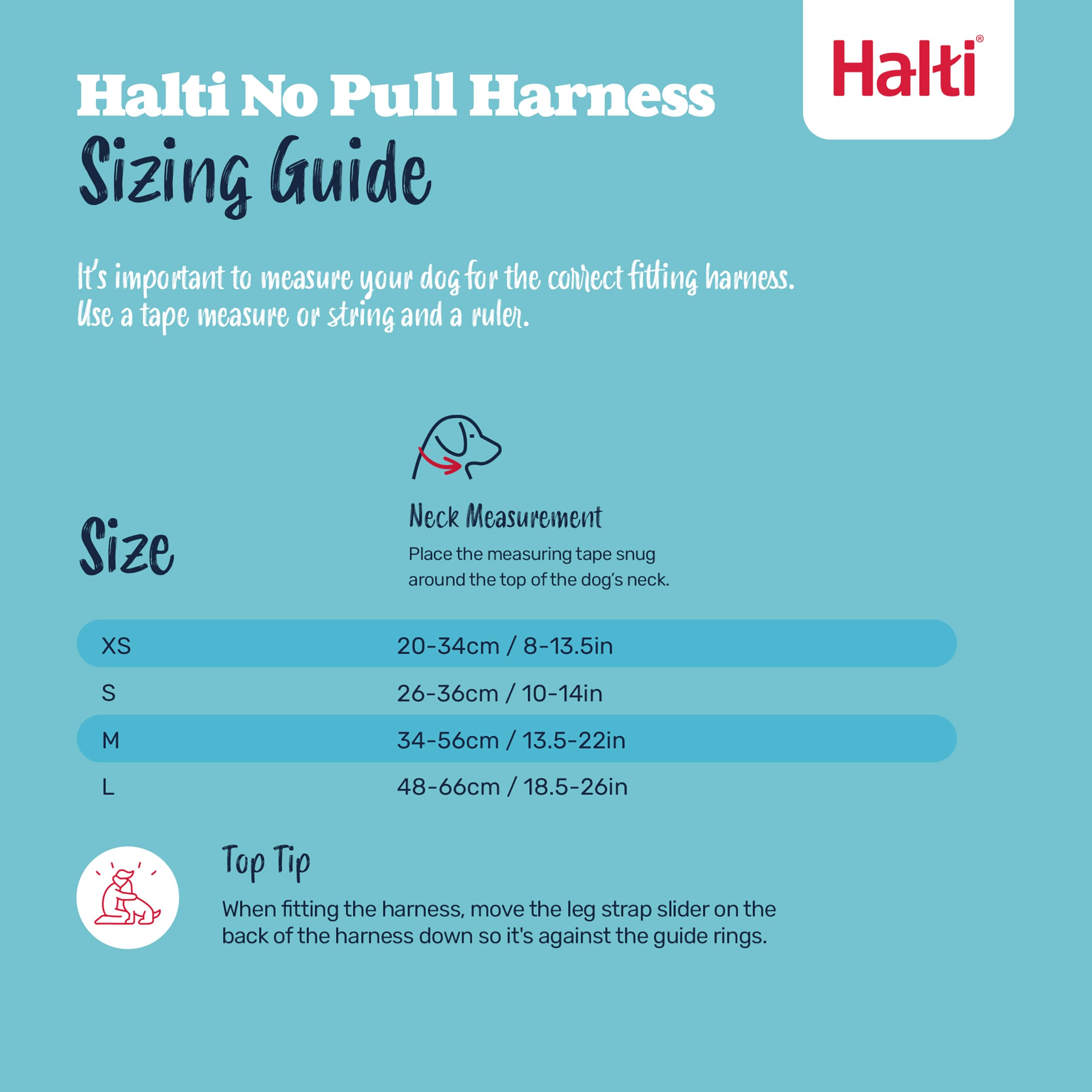 Halti No Pull Harness et laisse double facilitent une formation sans tirage.
