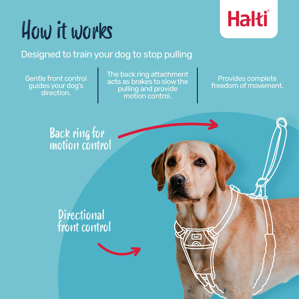 Halti No Pull Harness avec poitrine rembourrée assure un confort lors des balades.