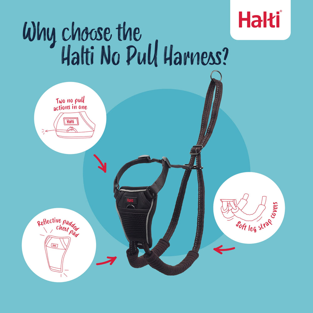 Halti No Pull Harness réglable offre un ajustement personnalisé pour chiens de taille moyenne.