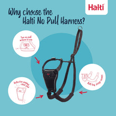 Halti No Pull Harness réglable offre un ajustement personnalisé pour chiens de taille moyenne.