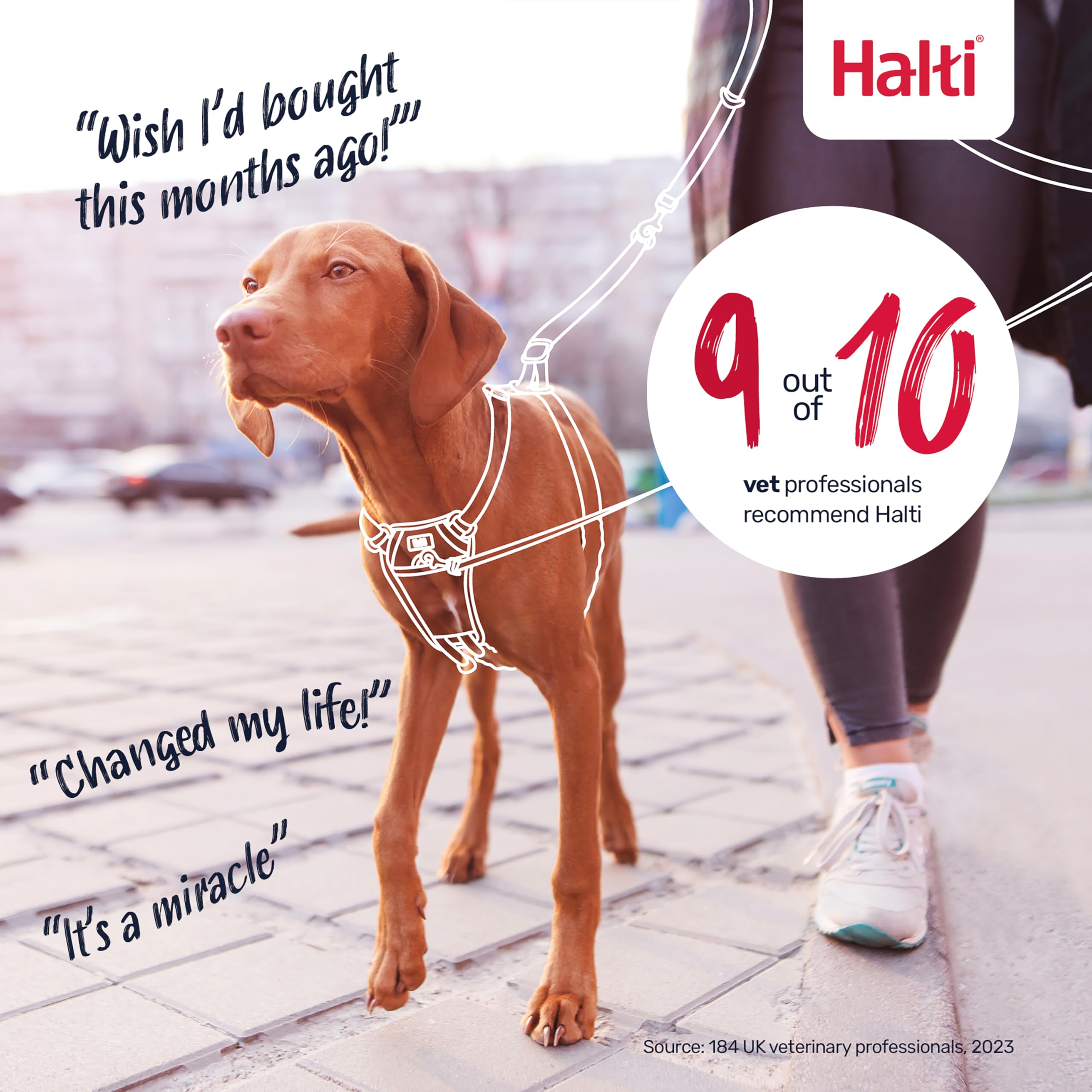 Halti No Pull Harness procure mobilité et douceur durant les promenades quotidiennes.
