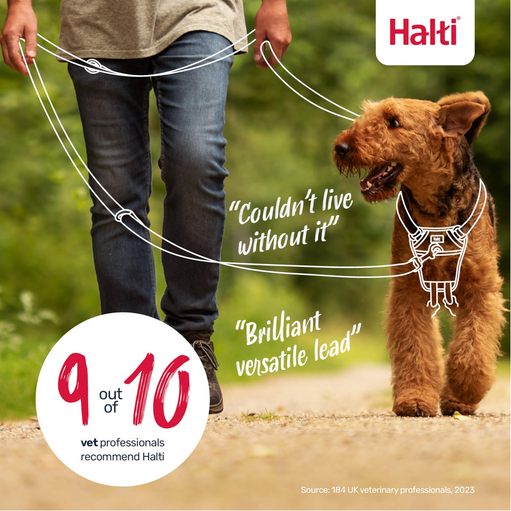 Halti Training Leash anti-tirage, parfait pour les séances de formation.
