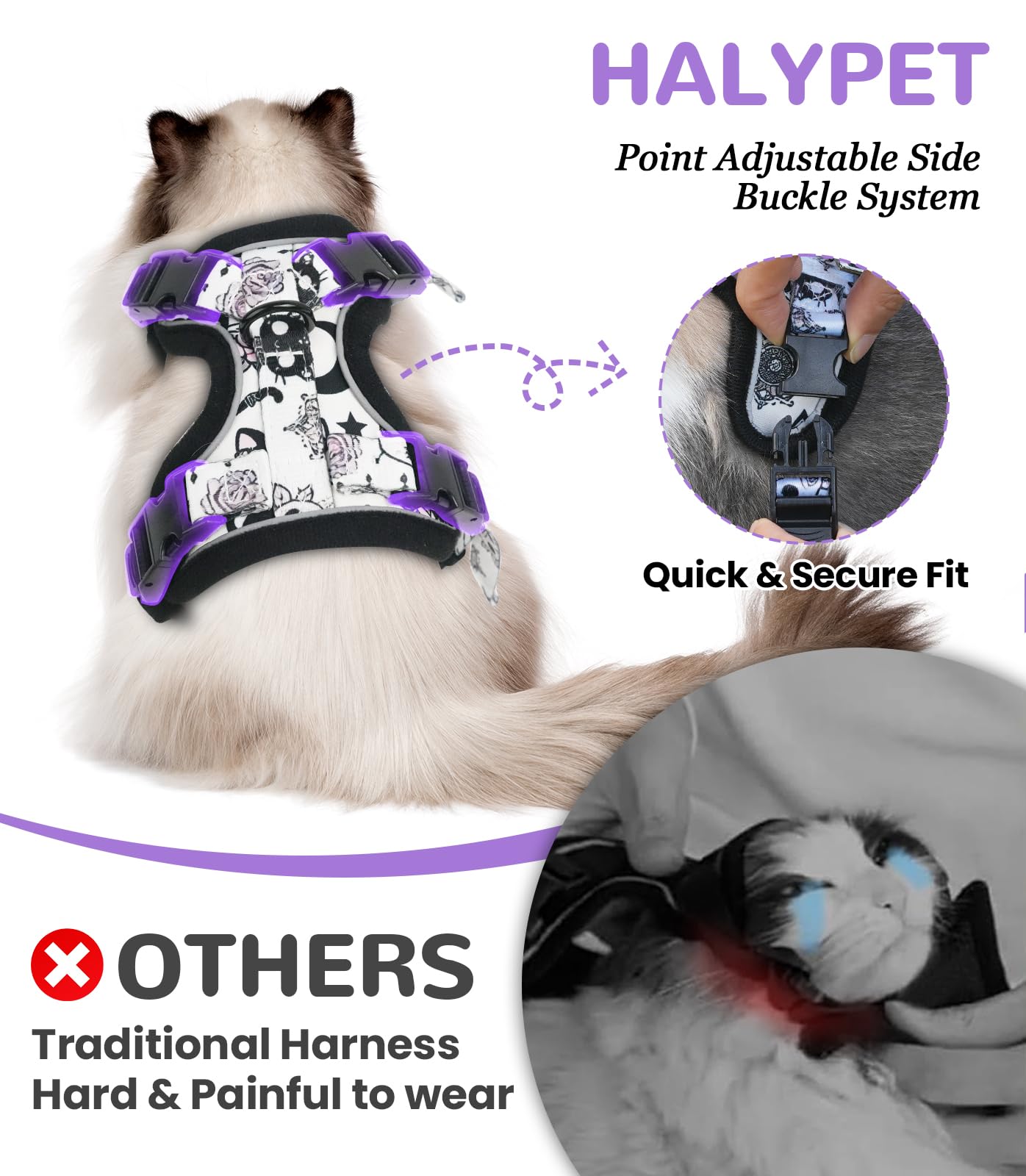 Balade nocturne avec Halypet, sécurité lumineuse et détente pour votre chat.