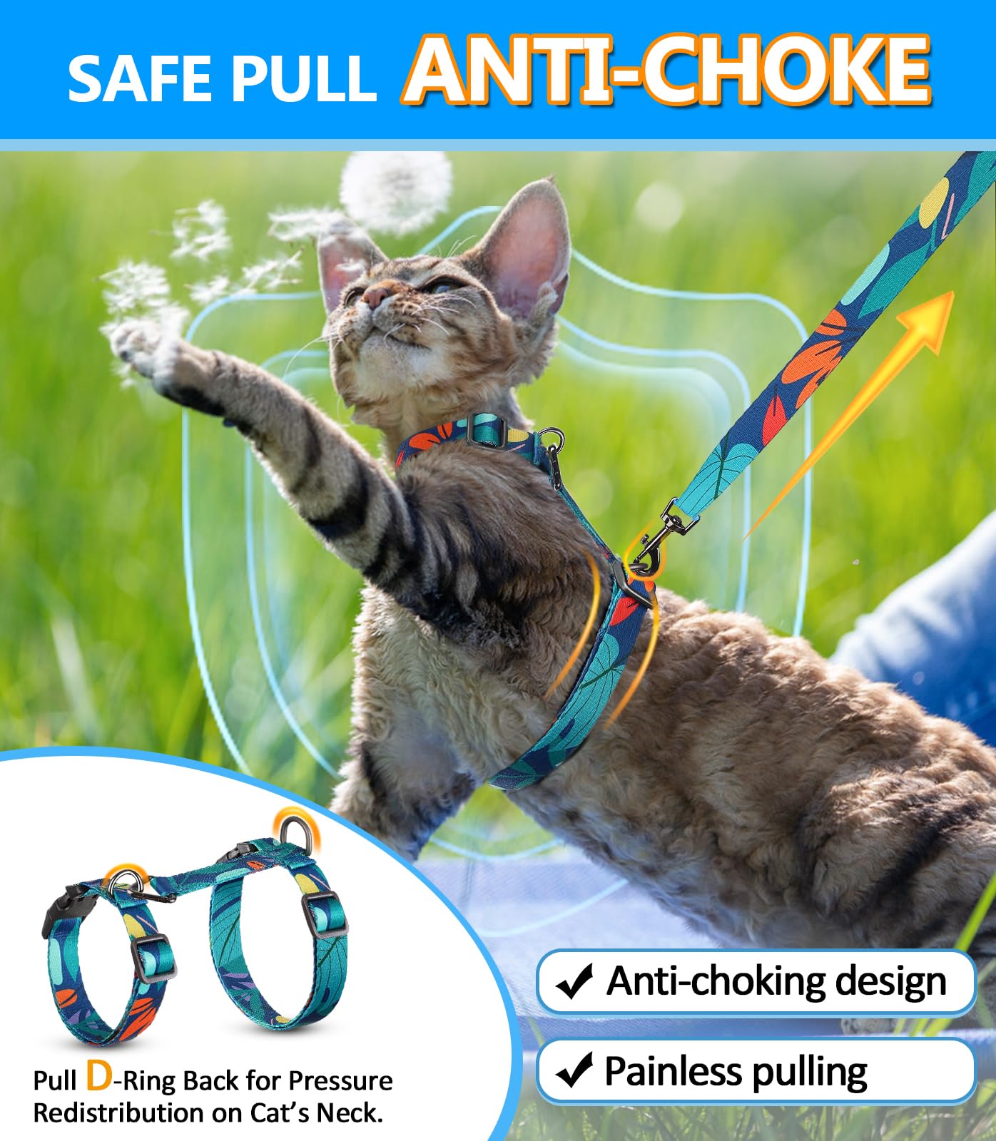 Halypet balade extérieure sécurisée et confortable grâce au harnais.