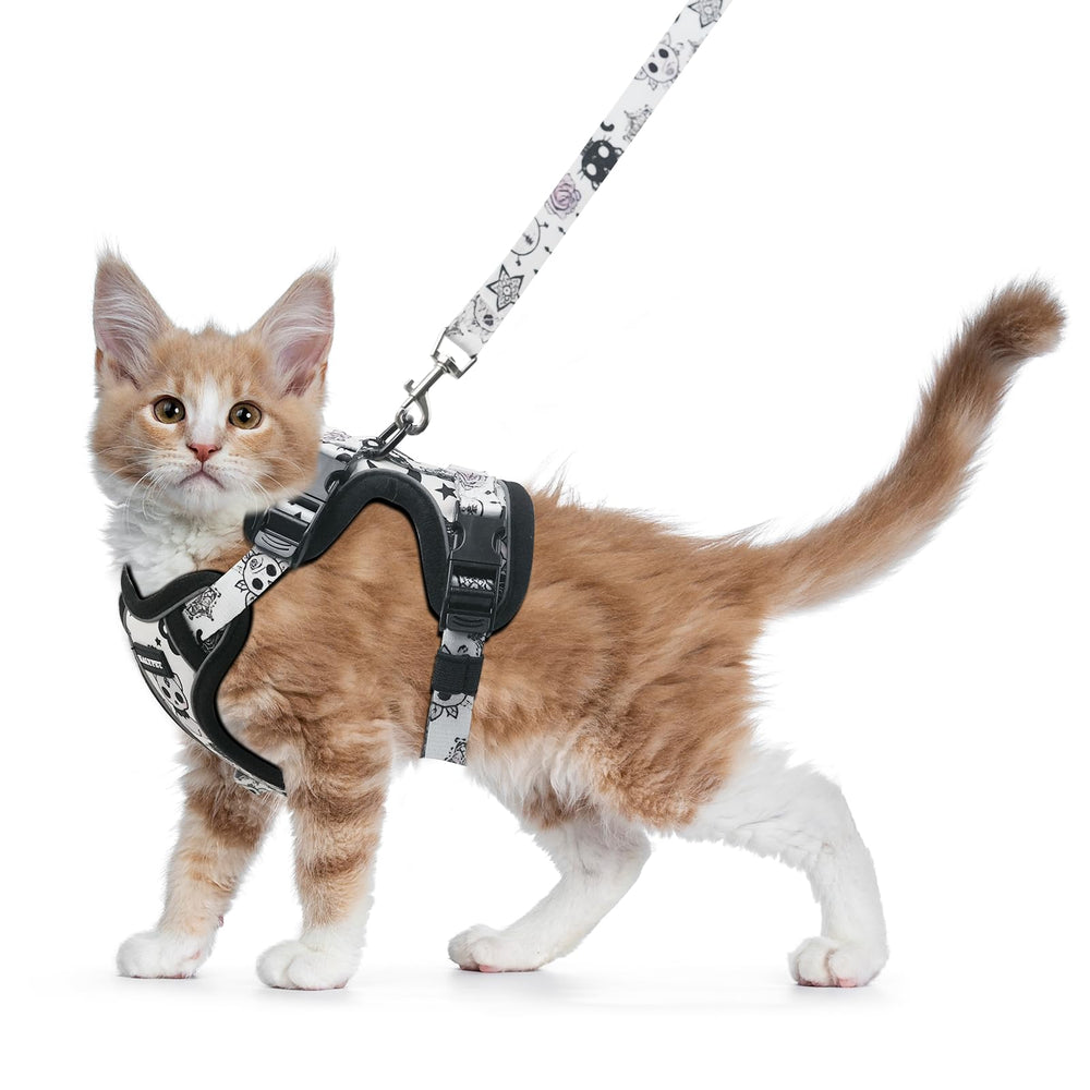 Harnais Halypet pour chat, ensemble visible et confortable pour les balades.