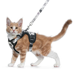 Harnais Halypet pour chat, ensemble visible et confortable pour les balades.