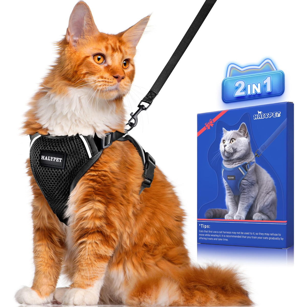 Halypet harnais chat H200 Pro anti fuite porté en extérieur pour sécurité