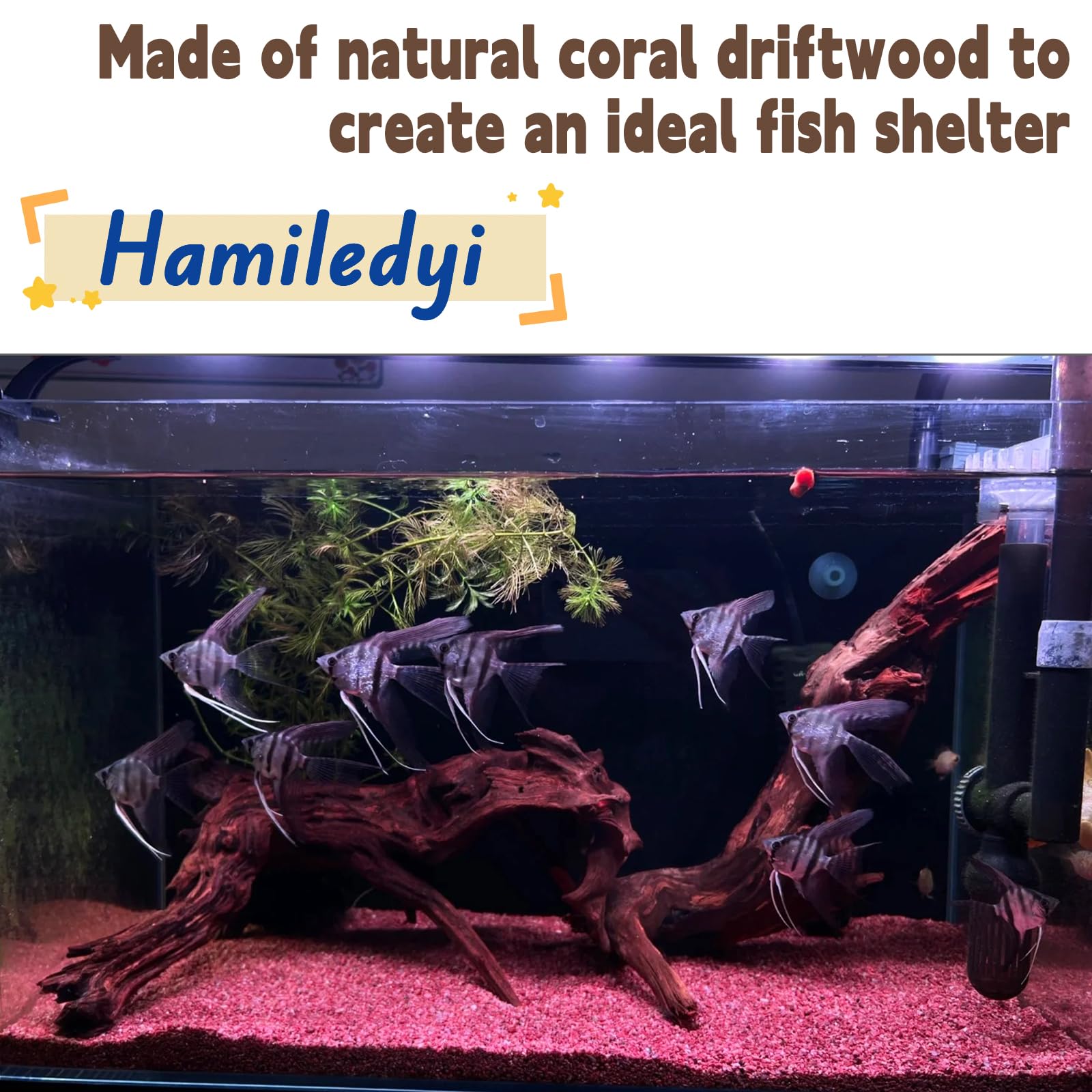 Hamiledyi bois flotté pour aquarium, décoration terrarium naturelle, ambiance réaliste.