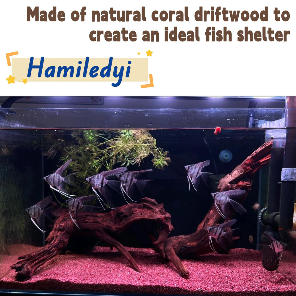 Hamiledyi bois flotté pour aquarium, décoration terrarium naturelle, ambiance réaliste.