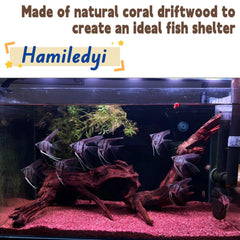 Hamiledyi bois flotté pour aquarium, décoration terrarium naturelle, ambiance réaliste.