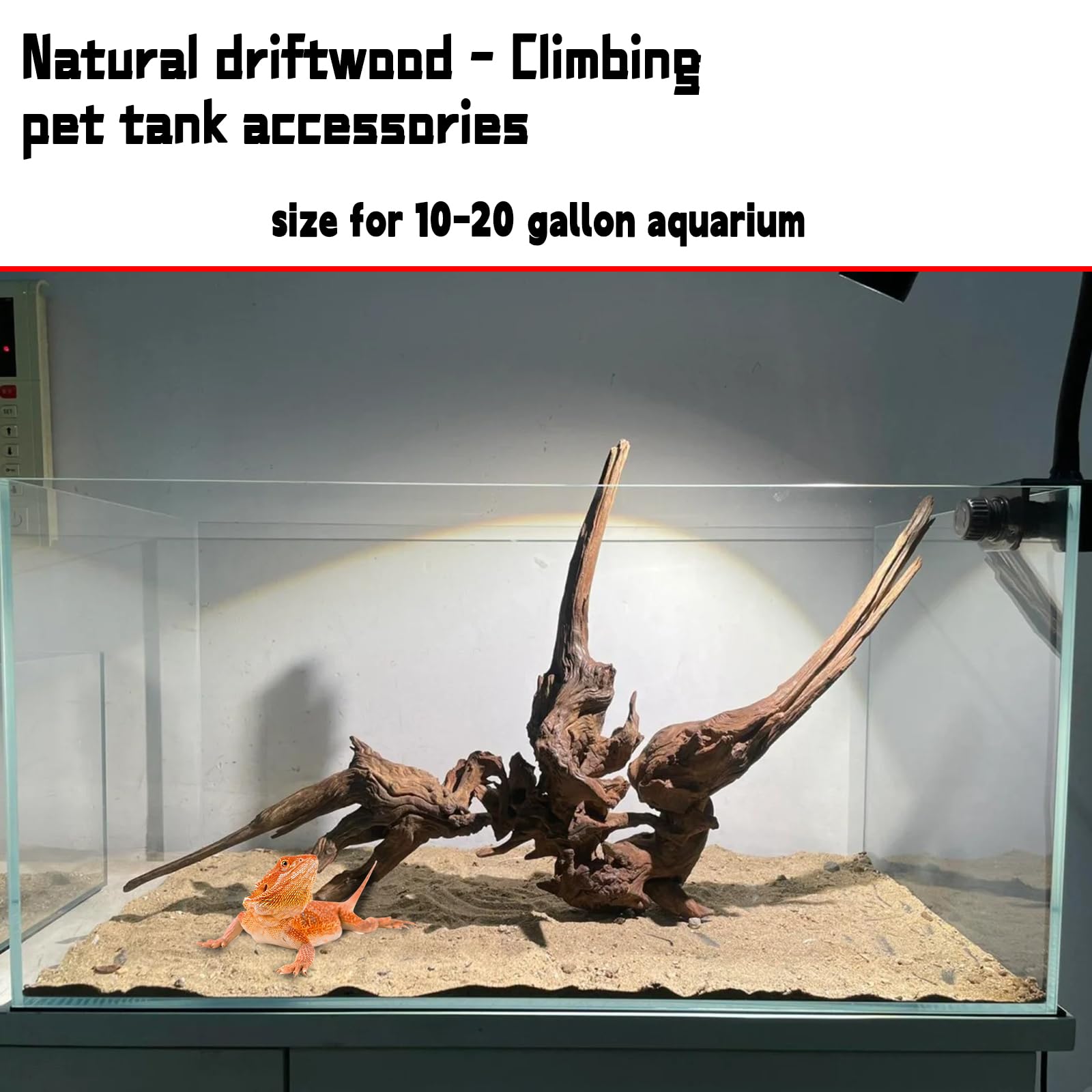 Hamiledyi bois flotté pour aquarium, structure ramifiée robuste pour décor.