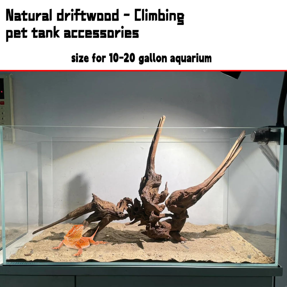 Hamiledyi bois flotté pour aquarium, structure ramifiée robuste pour décor.