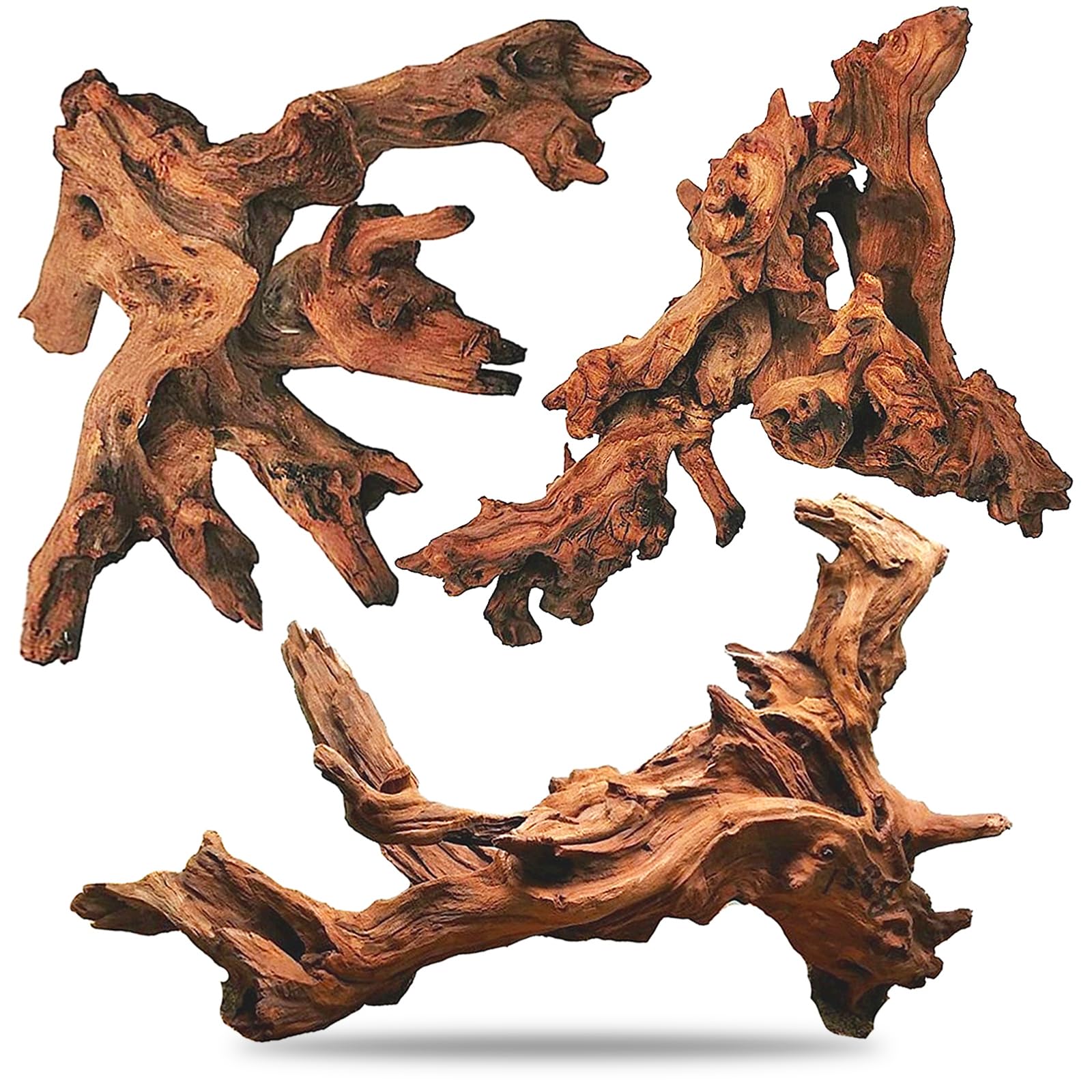 Hamiledyi bois flotte tronc naturel 8-12 pouces, point focal pour aquarium