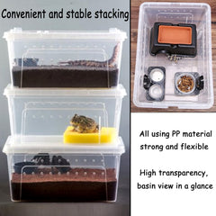 Hamiledyi bol d’alimentation intégré pour reptiles.