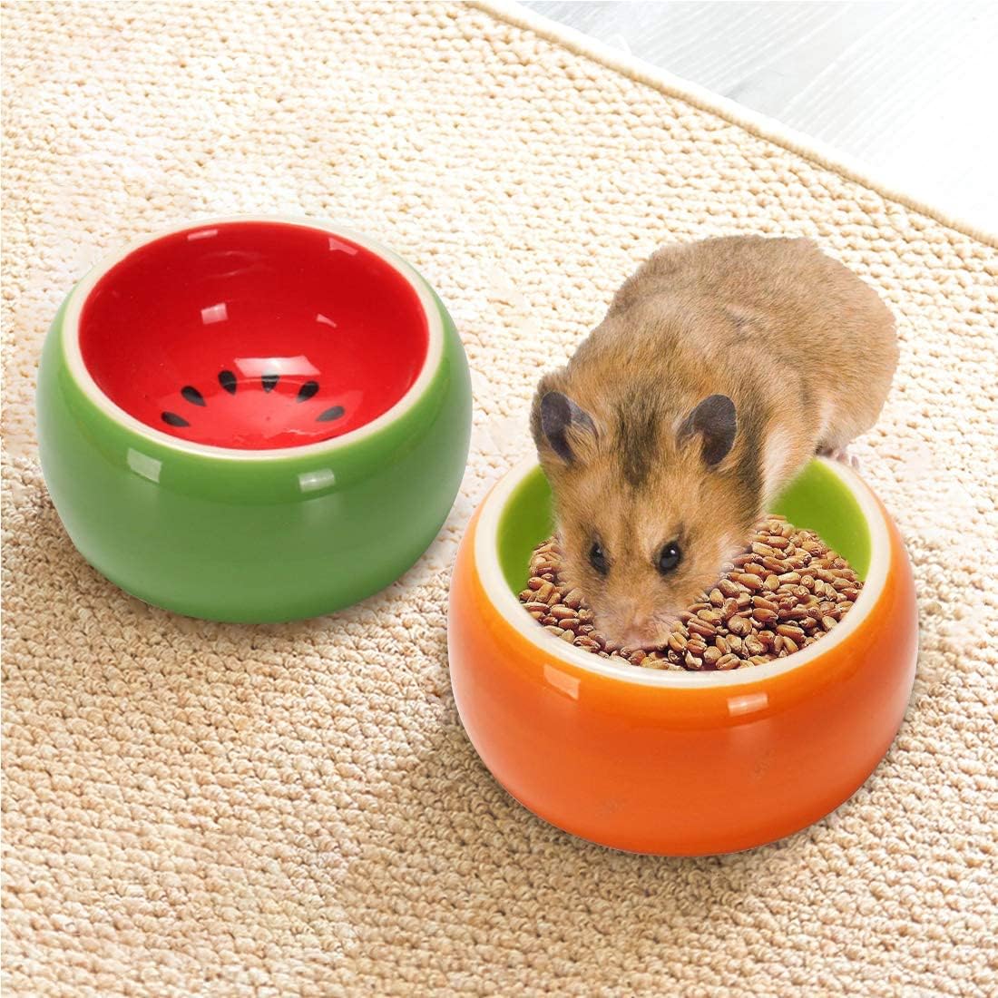 Hamiledyi bol ceramique facile nettoyage, design compact pour cages petites.