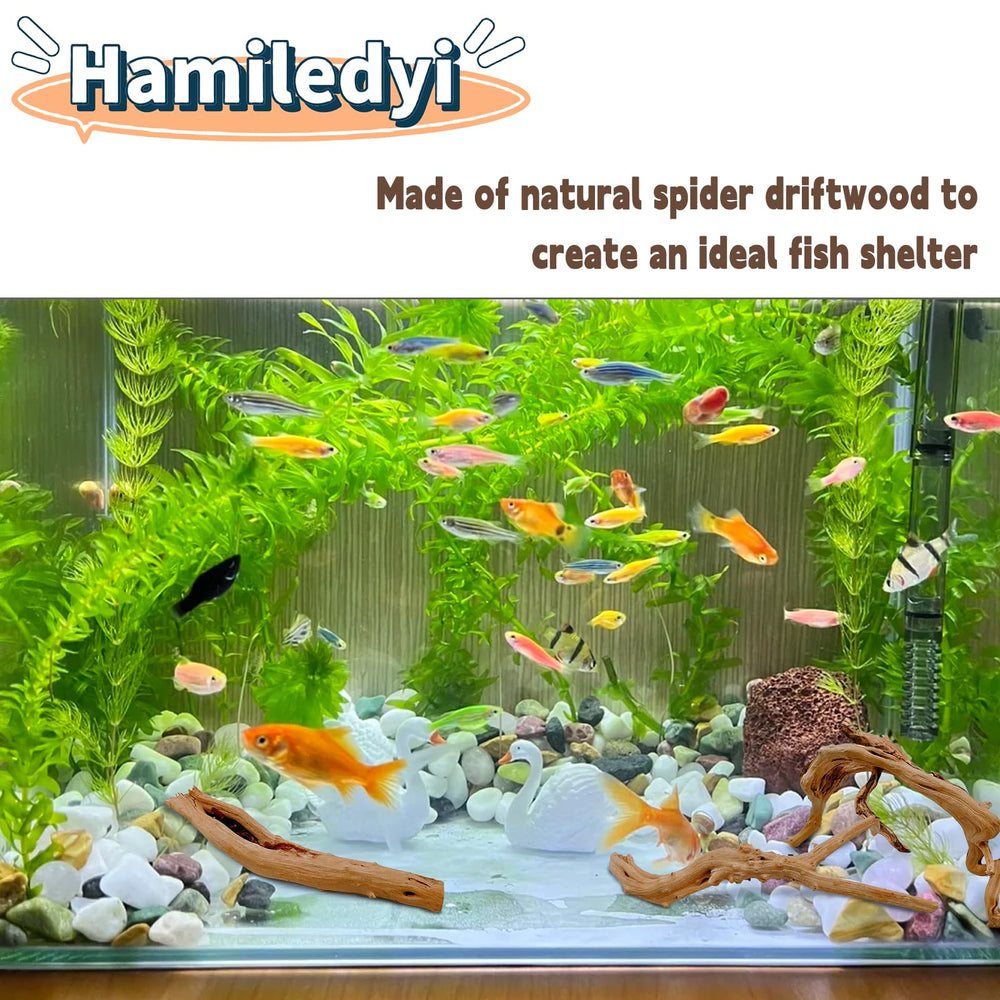 Hamiledyi branche bois flotte pour reptile, offre refuge et surfaces d’escalade.