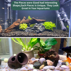 Hamiledyi branche bois flotté décor pour reptiles, surface idéale pour grimper.