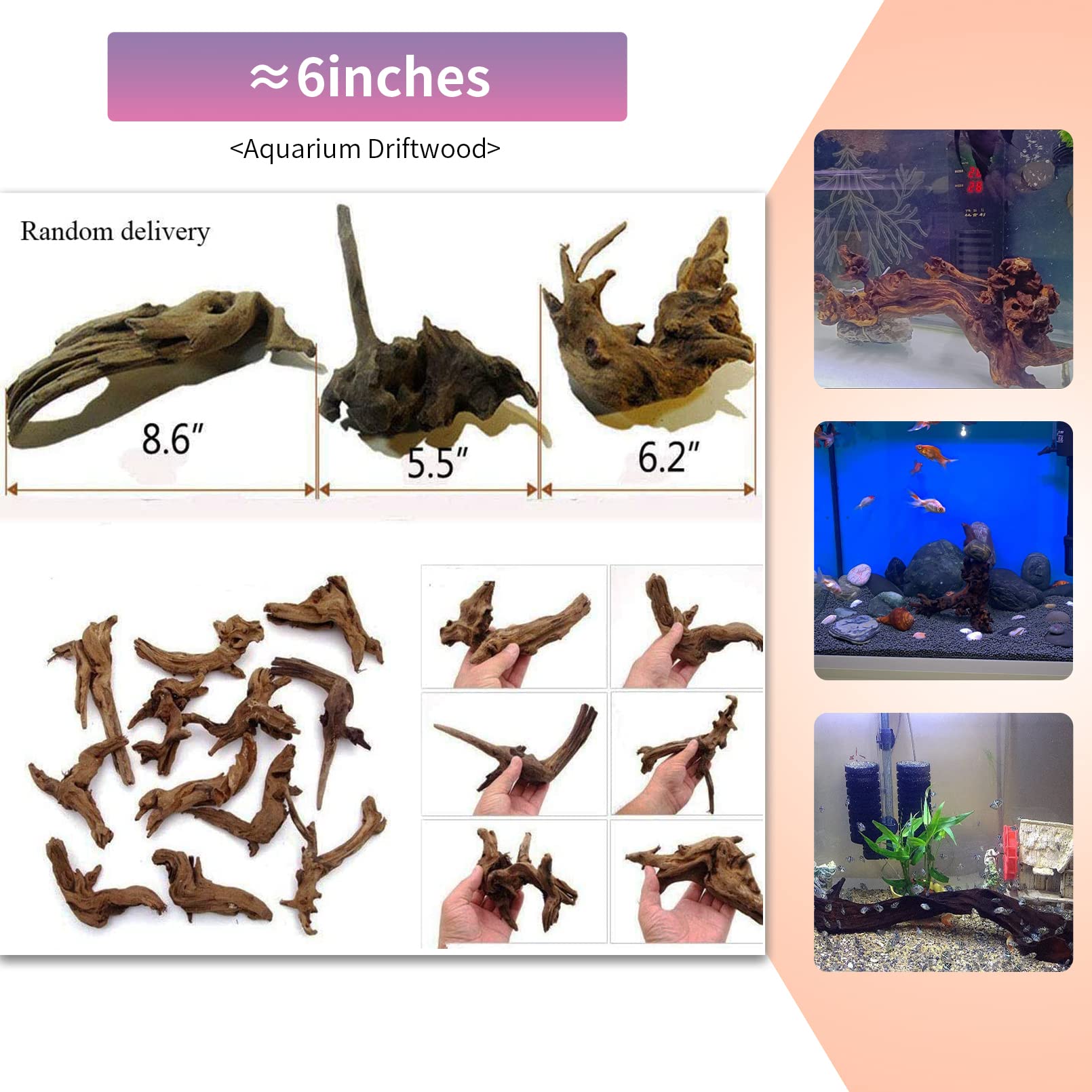Hamiledyi branche bois flotté escalade reptiles, parfait pour terrariums.
