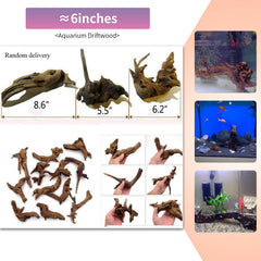 Hamiledyi branche bois flotté escalade reptiles, parfait pour terrariums.