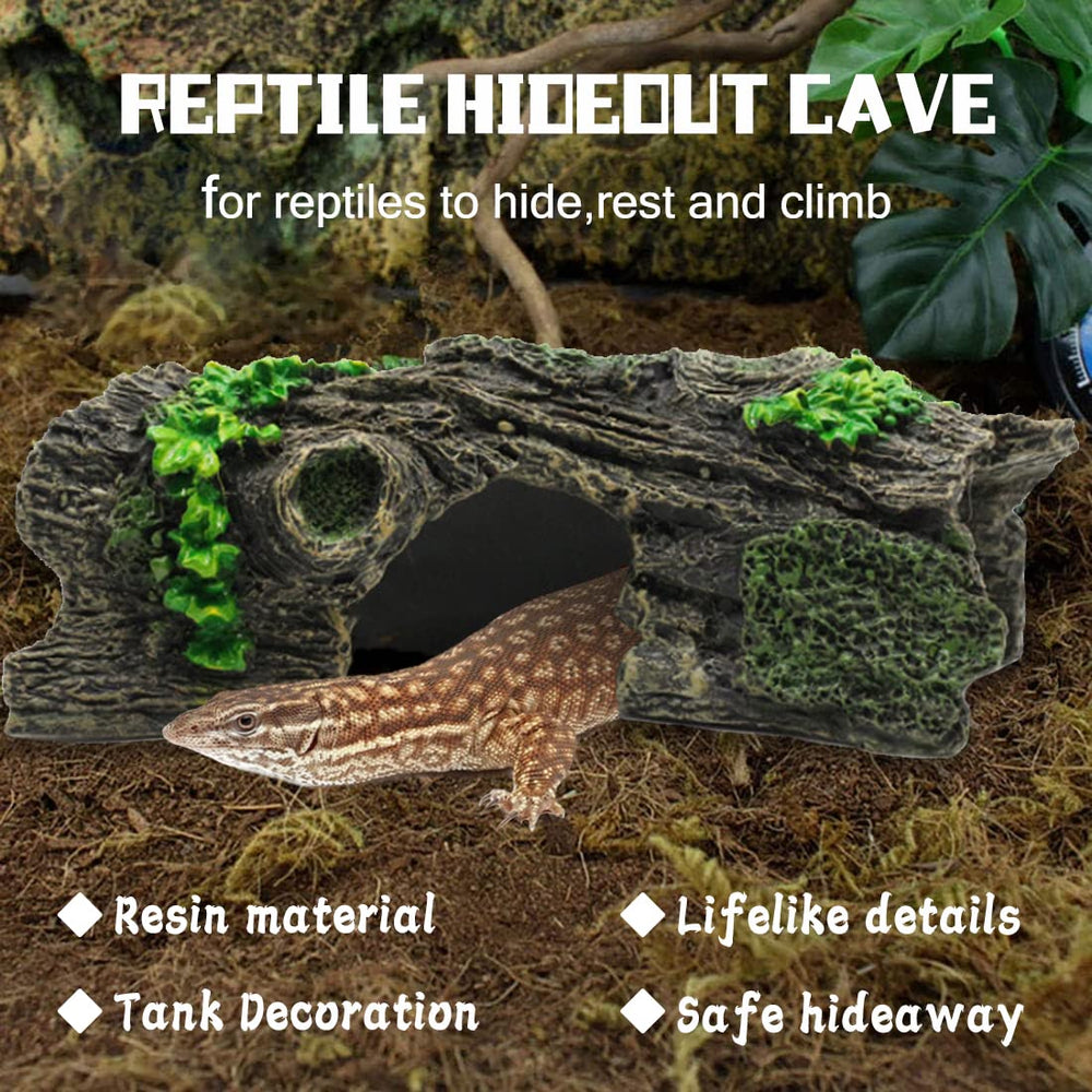 Hamiledyi branche légère et robuste, idéale pour reptiles et décoration.