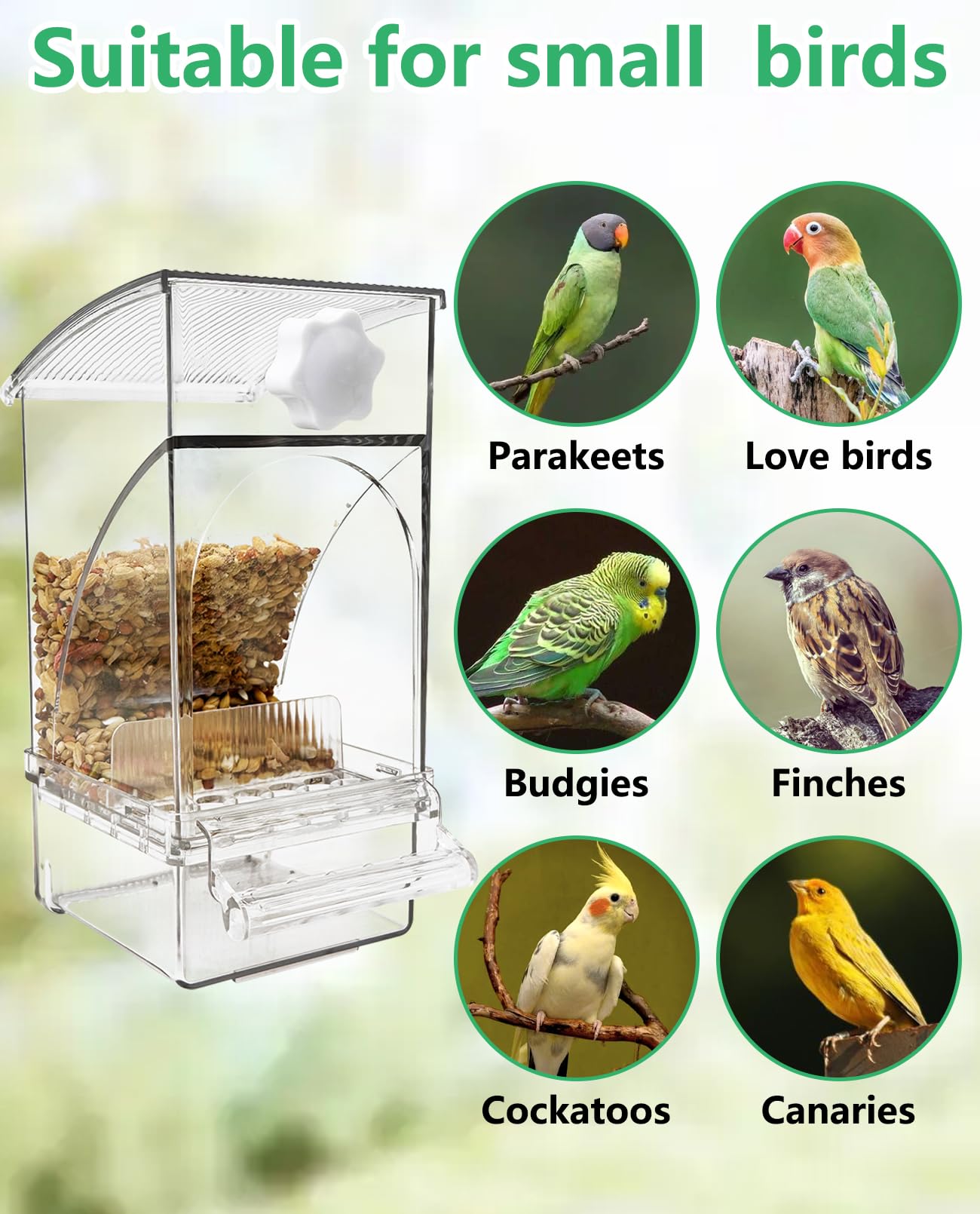 Hamiledyi compatible avec perruche, pinson, lovebird, budgie et canari