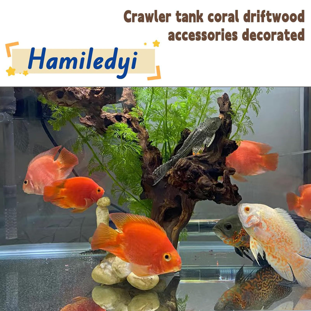 Hamiledyi decor terrarium bois flotte, refuges pour poissons