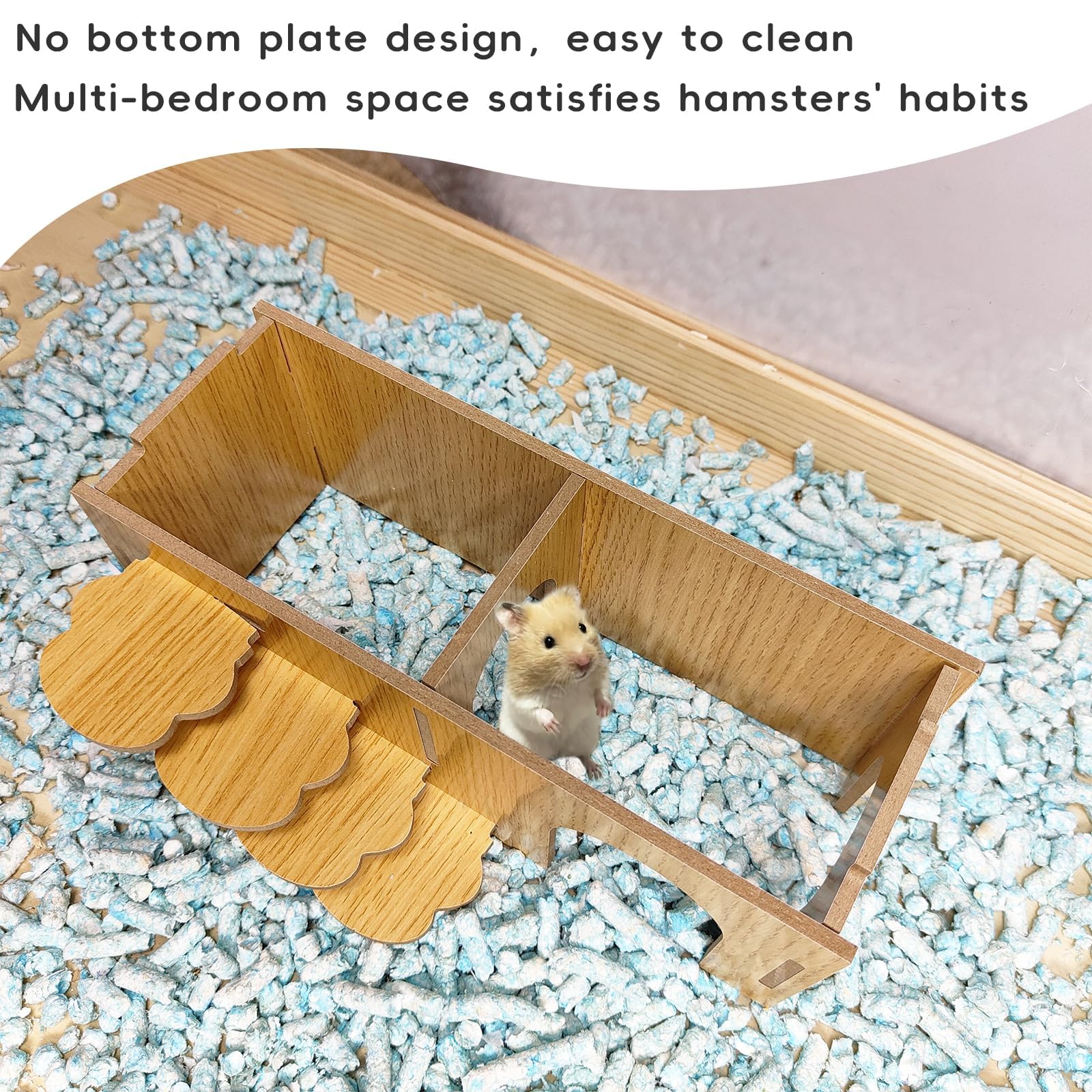 Hamiledyi design sans fond — nettoyage simplifié et hygiène pratique.