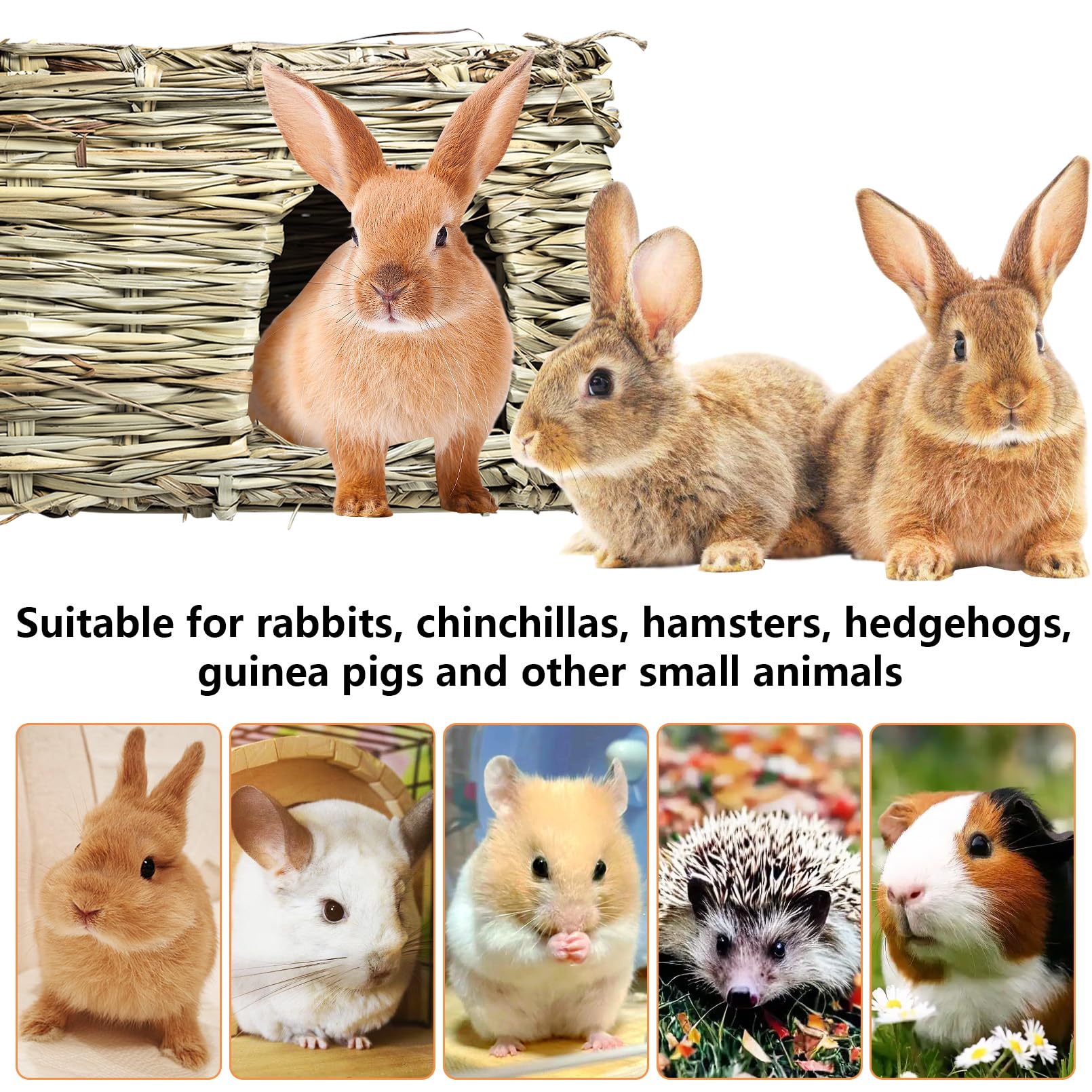 Hamiledyi, dimension adaptée 11,8x7,87x7,87 pouces pour petits animaux.