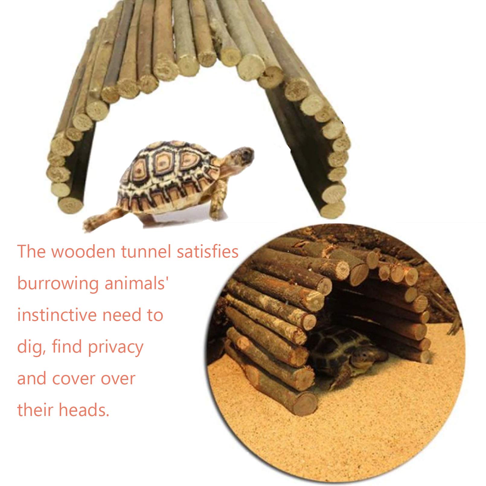 Hamiledyi dimension XL 20-pouces: espace généreux pour grands reptiles.