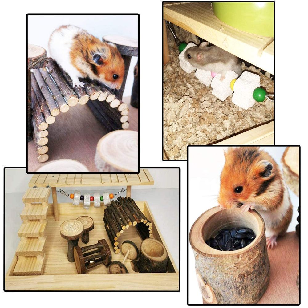 Hamiledyi échelle grimpe hamster, pour monter et explorer les niveaux sans stress.