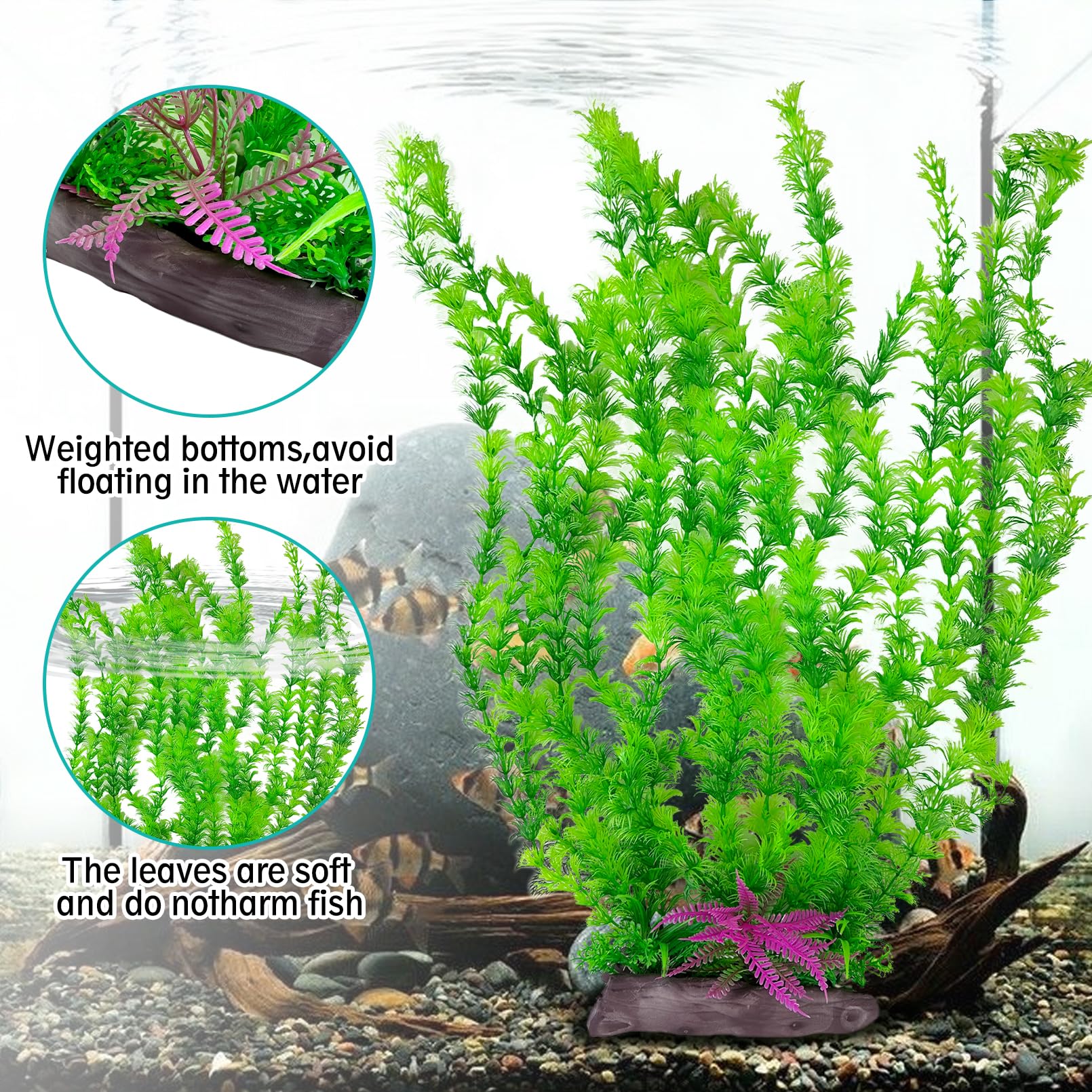 Feuillage vert émeraude Hamiledyi apporte profondeur visuelle et cachette naturelle.