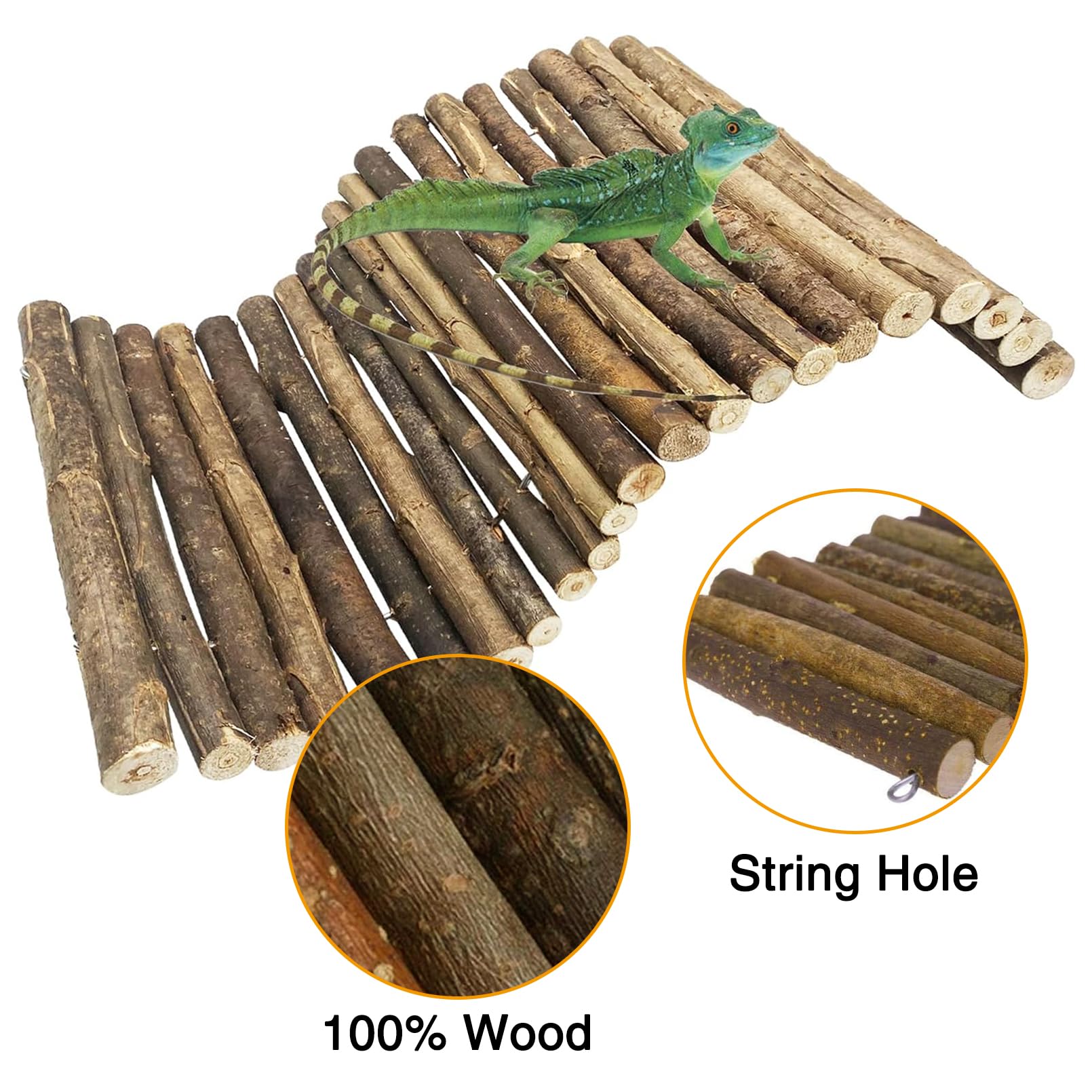 Hamiledyi feuilles artificielles ajoutent un aspect naturel et stimulant.