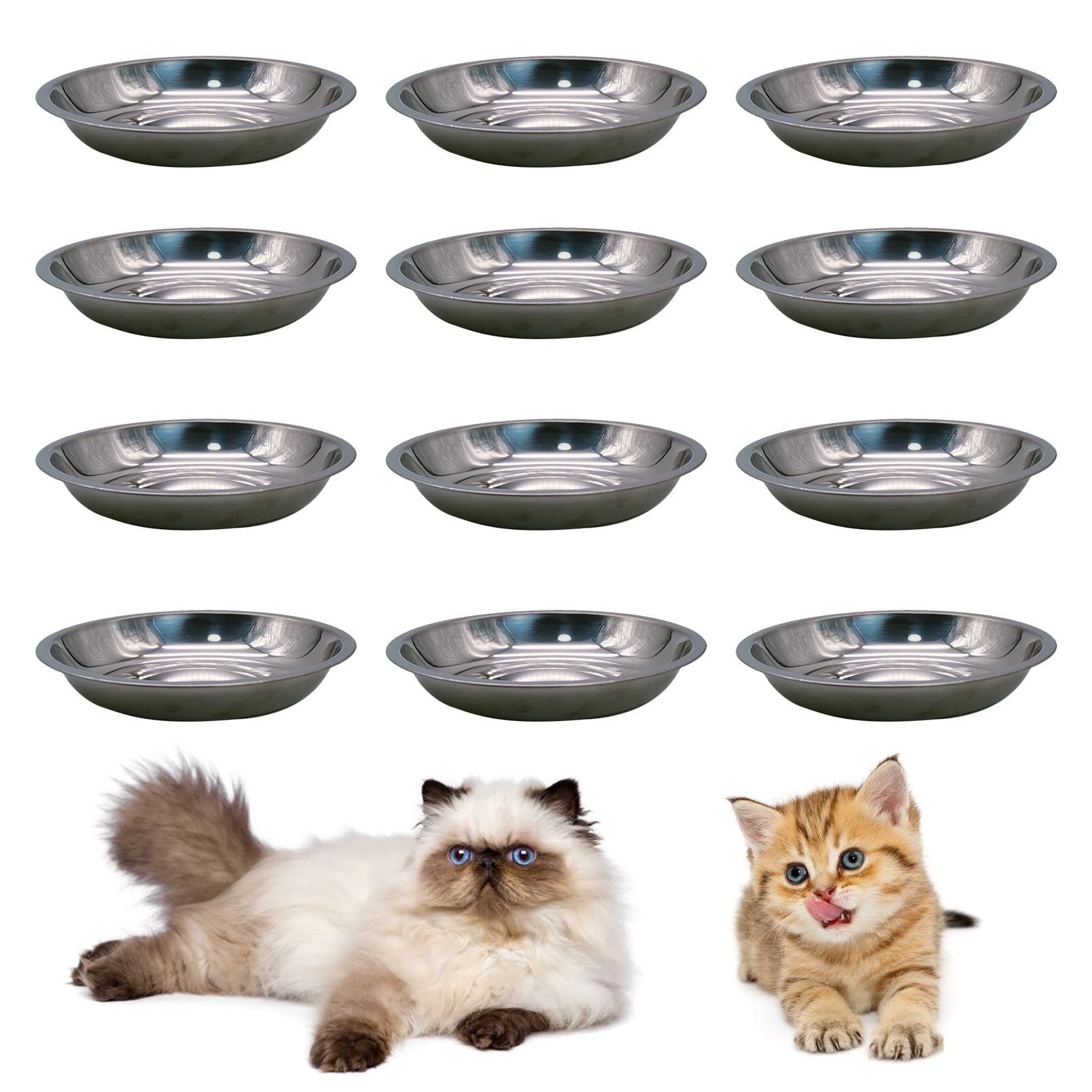 Hamiledyi gamelle inox pour chat, plat sûr et durable pour repas quotidiens.