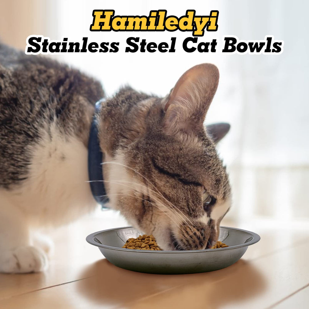 Hamiledyi plat peu profond pour chat, soulage les moustaches pendant les repas.