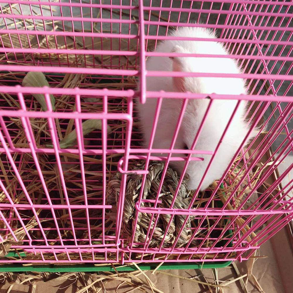 Jouet Hamiledyi pour petits animaux, idéal pour lapins et hamsters
