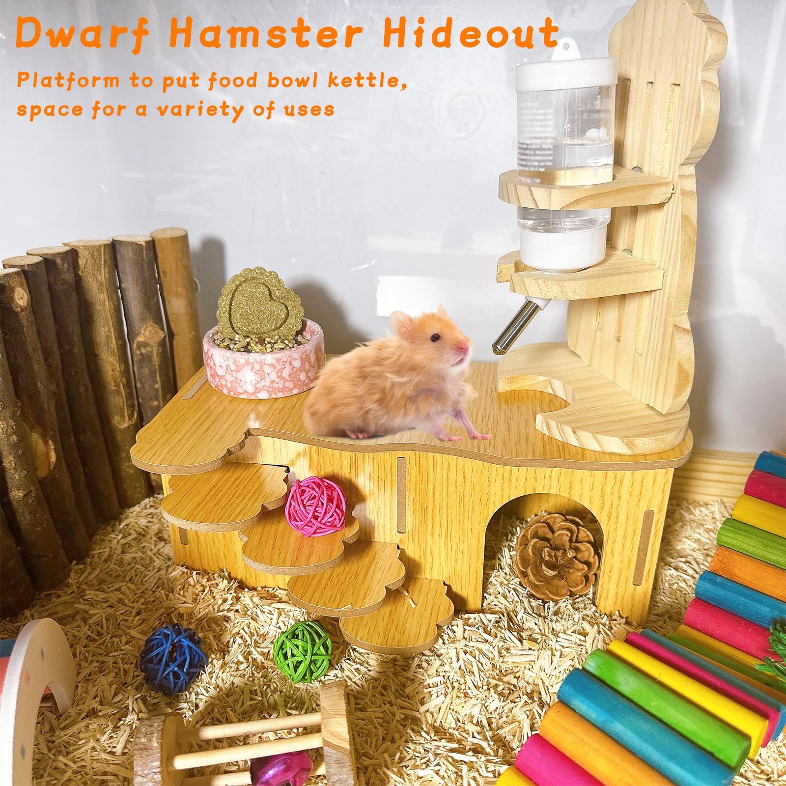 Hamiledyi labyrinthe bois hamster — design stimulant pour exploration et escalade sûre.