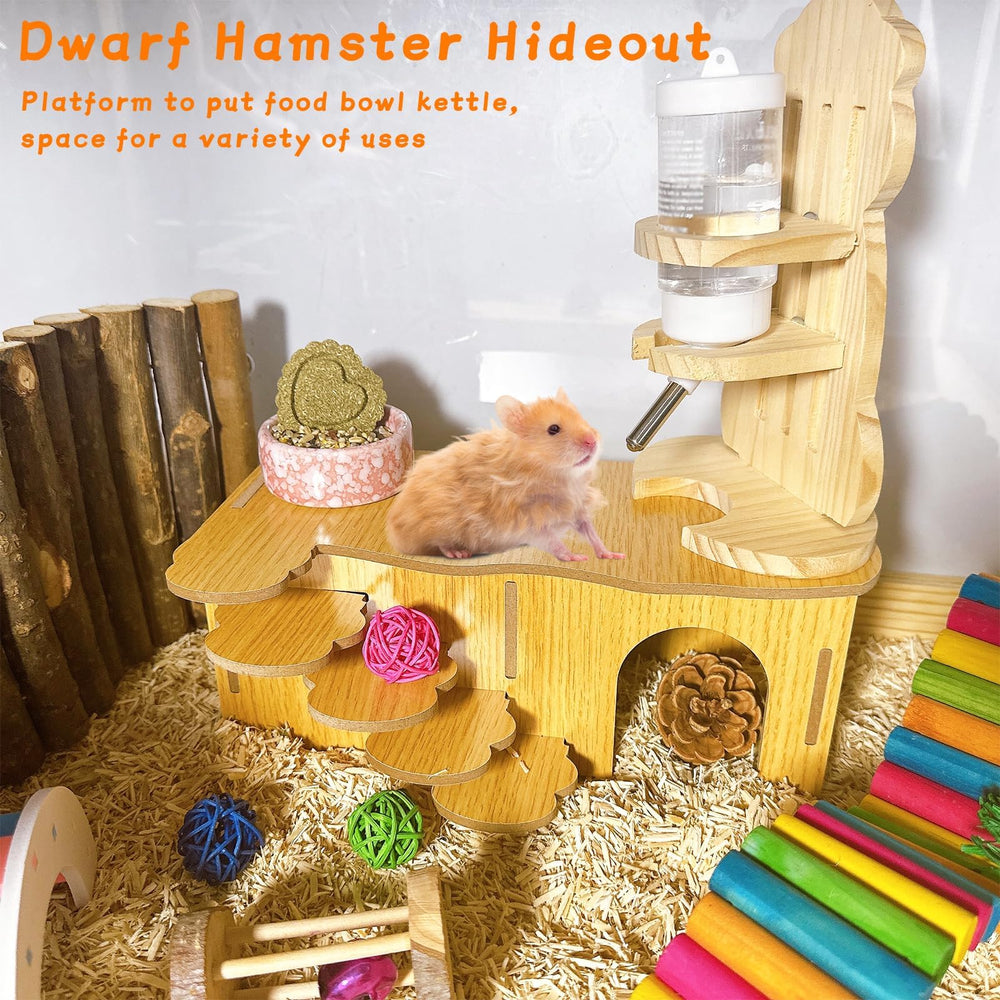 Hamiledyi labyrinthe bois hamster — design stimulant pour exploration et escalade sûre.