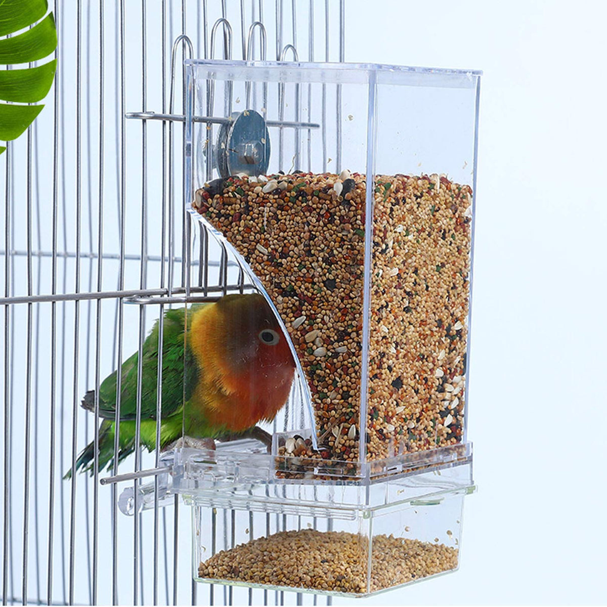 Hamiledyi mangeoire-cage automatique transparente pour surveiller les réserves de graines.