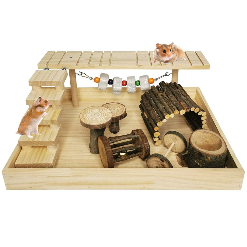 Hamiledyi parc d'activité pour hamster nain avec plateau double, favorisant exercice et jeu quotidien.