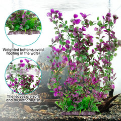 Hamiledyi plante d'aquarium facile d'entretien sans éclairage ni fertilisant requis.