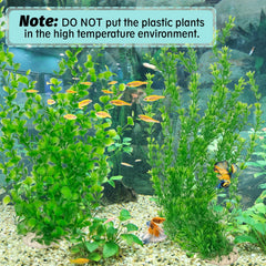 Plantes Hamiledyi adaptées pour eau douce et eau salée dans divers aquariums.
