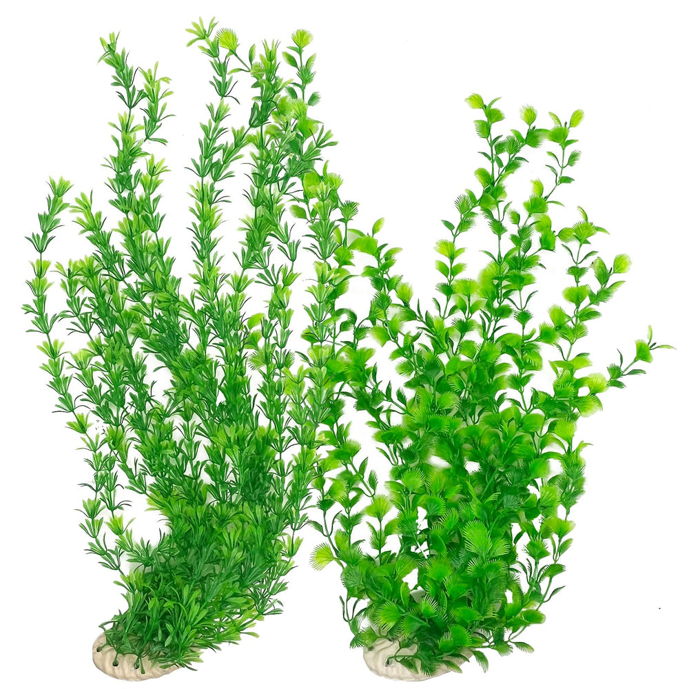 Hamiledyi: plantes d'aquarium hautes vertes, décor naturel et sûr pour les poissons.