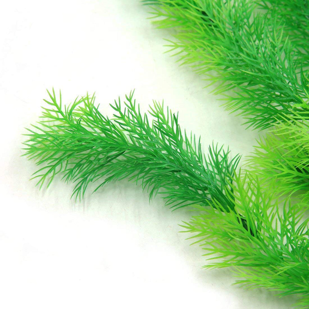 Hamiledyi, feuilles vertes brillantes, ajoutent ombre et couleur naturelle.