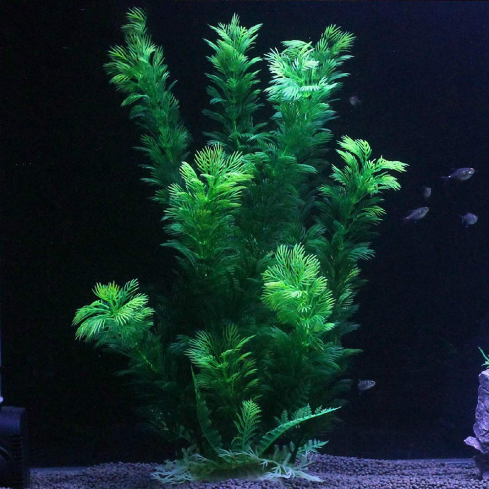 Hamiledyi, ensemble de deux plantes, installation facile et durable.