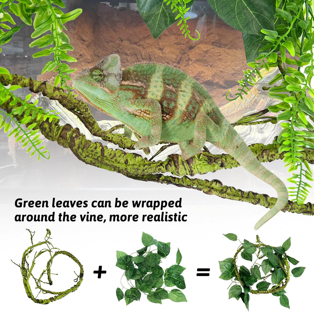 Hamiledyi feuilles vertes longues, remplissage esthétique du terrarium.