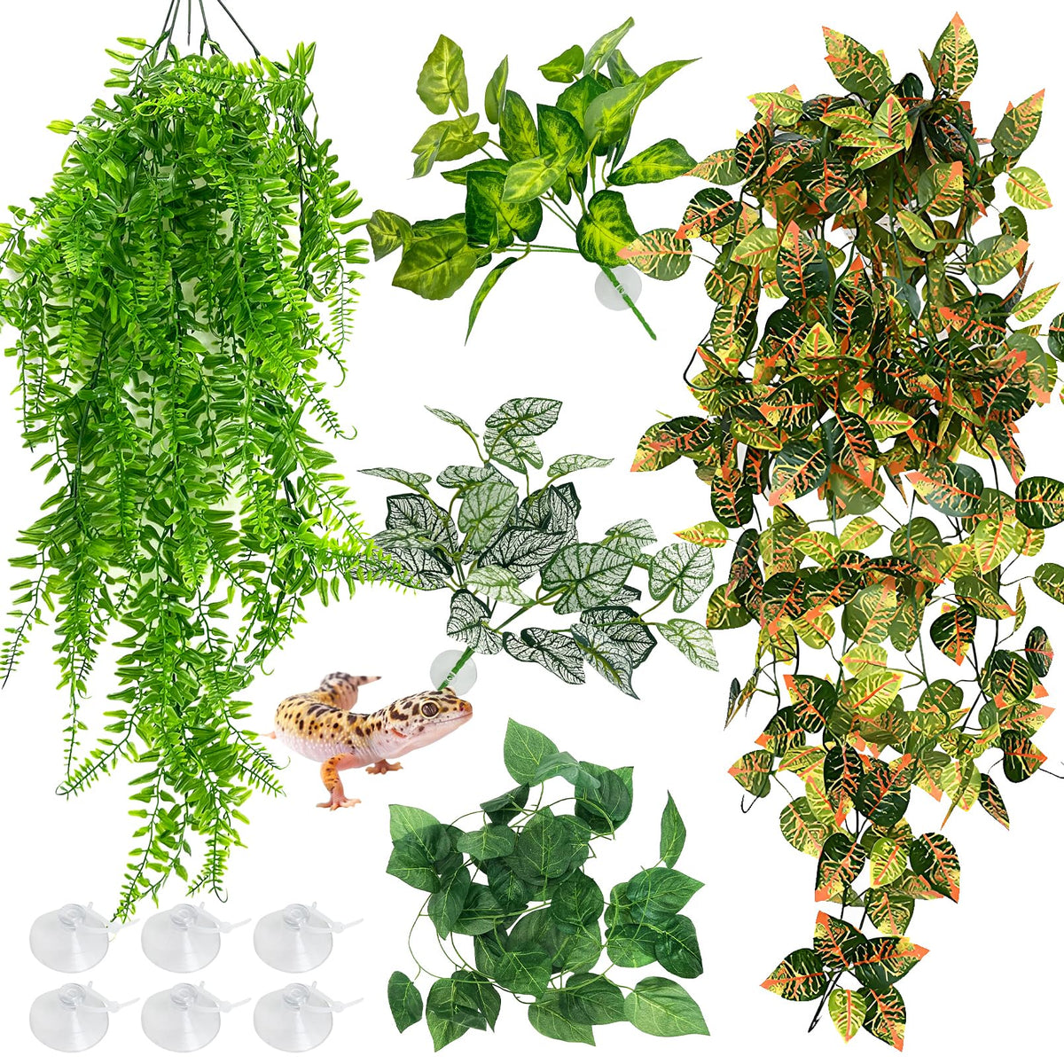 Hamiledyi plantes terrarium grandes feuilles suspendues style A pour créer un recoin naturel