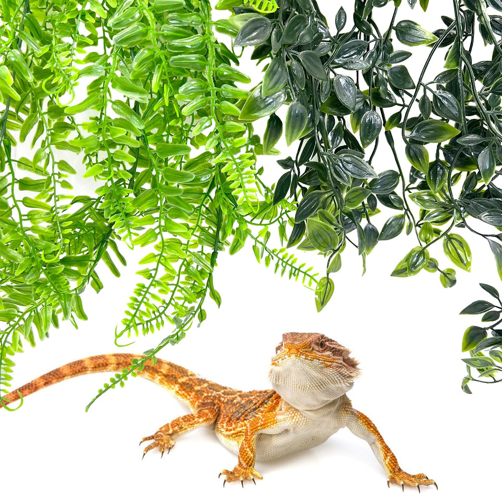 Hamiledyi plante terrarium liane petite feuille style a, parfaite pour cachettes miniatures.